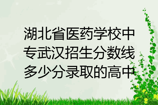 湖北省医药学校中专武汉招生分数线多少分录取的高中