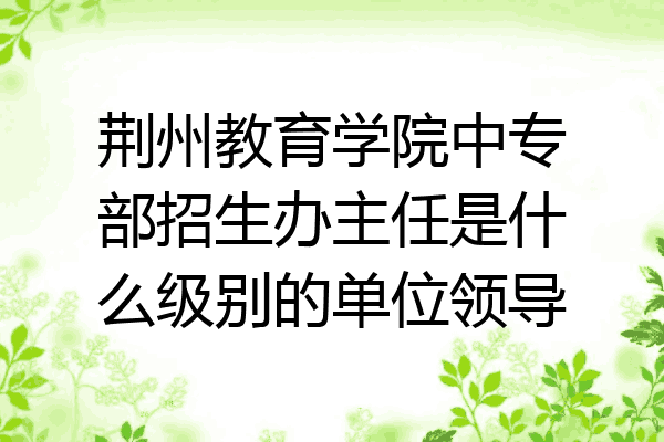 荆州教育学院中专部招生办主任是什么级别的单位领导