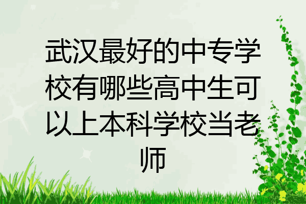 武汉最好的中专学校有哪些高中生可以上本科学校当老师