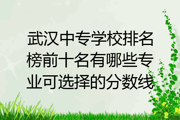 武汉中专学校排名榜前十名有哪些专业可选择的分数线
