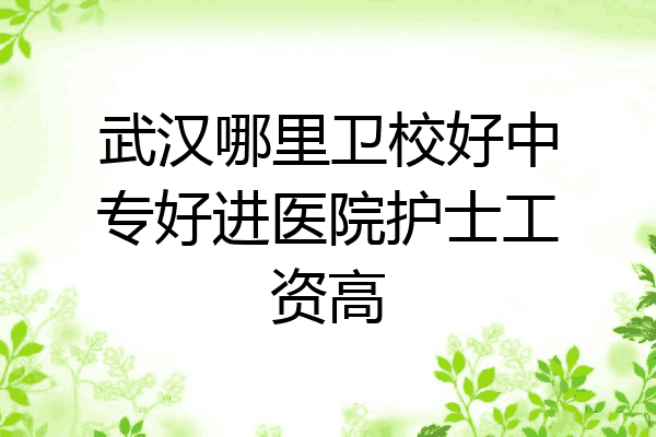 武汉哪里卫校好中专好进医院护士工资高