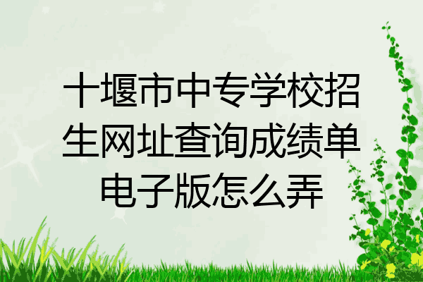 十堰市中专学校招生网址查询成绩单电子版怎么弄