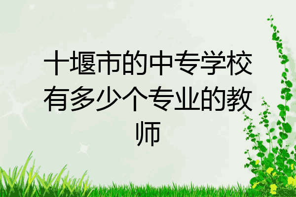 十堰市的中专学校有多少个专业的教师
