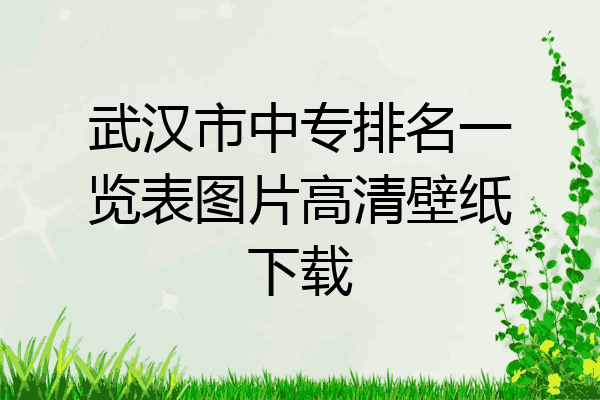 武汉市中专排名一览表图片高清壁纸下载