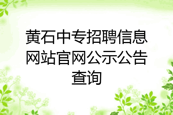 黄石中专招聘信息网站官网公示公告查询