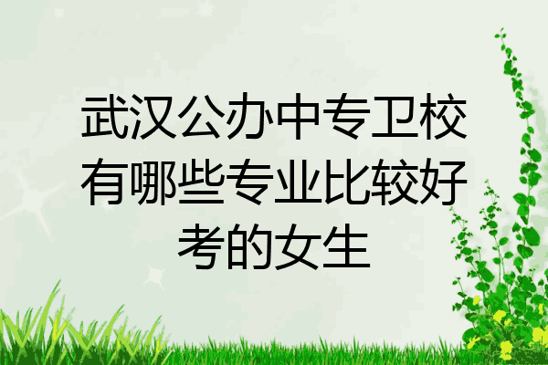 武汉公办中专卫校有哪些专业比较好考的女生