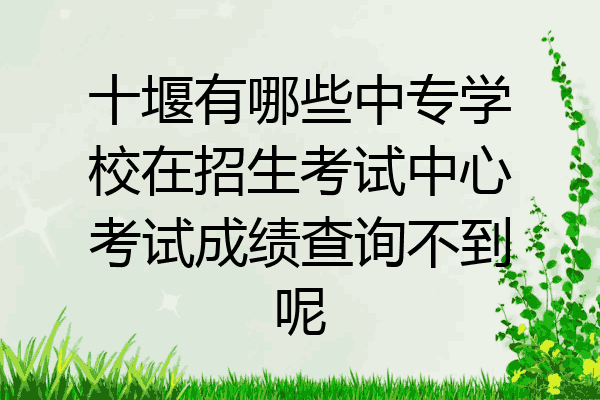 十堰有哪些中专学校在招生考试中心考试成绩查询不到呢