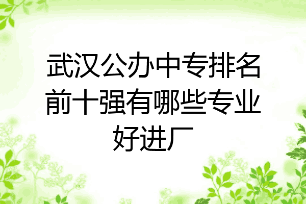 武汉公办中专排名前十强有哪些专业好进厂