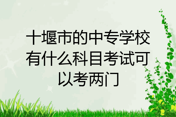 十堰市的中专学校有什么科目考试可以考两门