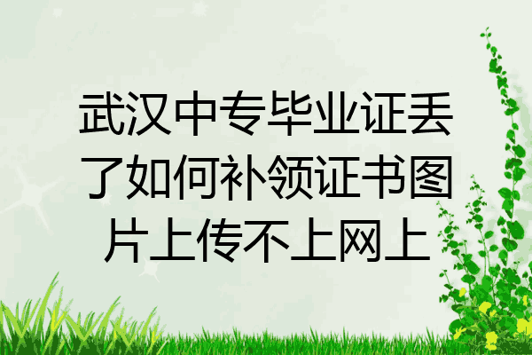 武汉中专毕业证丢了如何补领证书图片上传不上网上