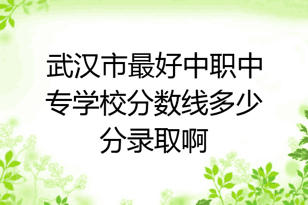 武汉市最好中职中专学校分数线多少分录取啊