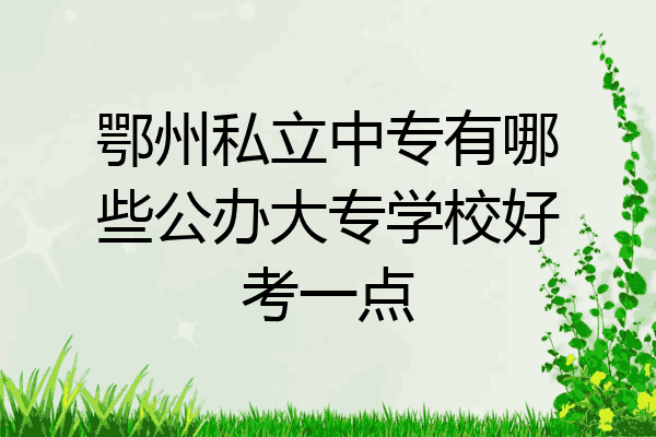 鄂州私立中专有哪些公办大专学校好考一点