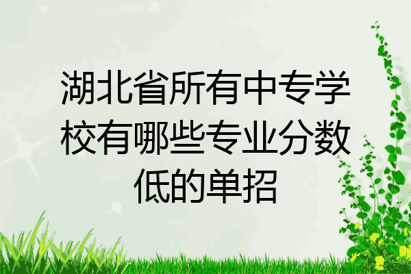 湖北省所有中专学校有哪些专业分数低的单招