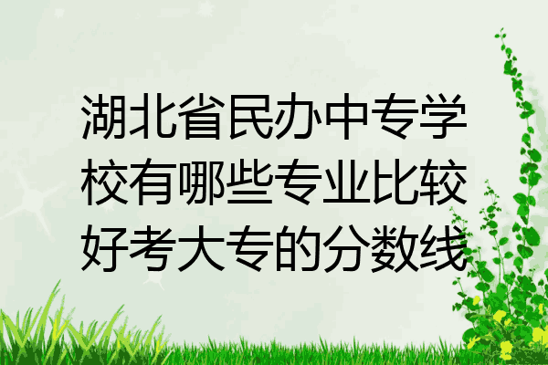 湖北省民办中专学校有哪些专业比较好考大专的分数线