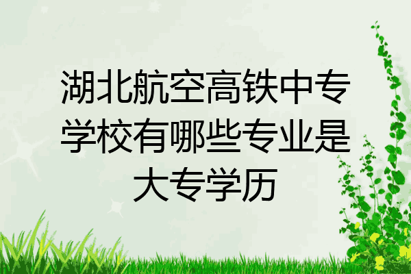 湖北航空高铁中专学校有哪些专业是大专学历