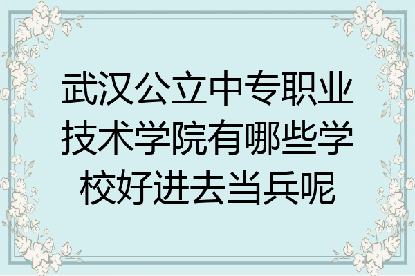 武汉公立中专职业技术学院有哪些学校好进去当兵呢