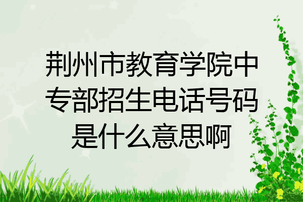 荆州市教育学院中专部招生电话号码是什么意思啊