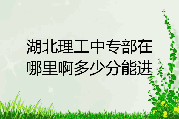 湖北理工中专部在哪里啊多少分能进