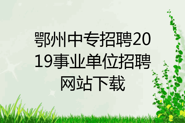 鄂州中专招聘2019事业单位招聘网站下载