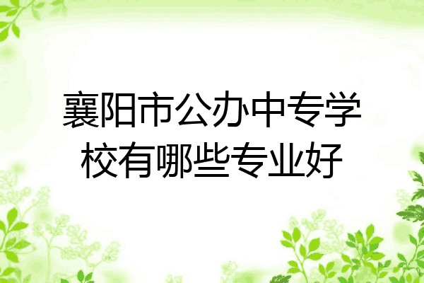襄阳市公办中专学校有哪些专业好