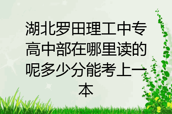 湖北罗田理工中专高中部在哪里读的呢多少分能考上一本
