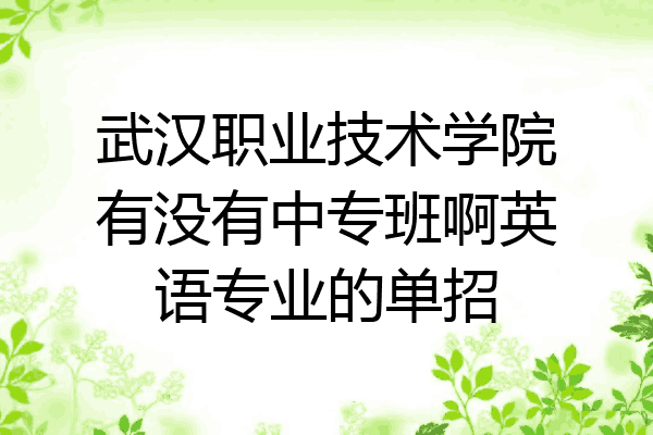 武汉职业技术学院有没有中专班啊英语专业的单招