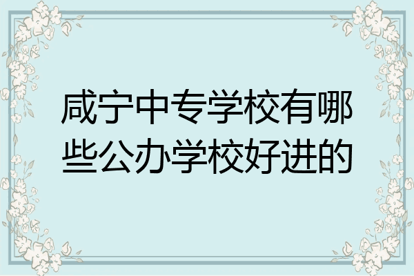 咸宁中专学校有哪些公办学校好进的