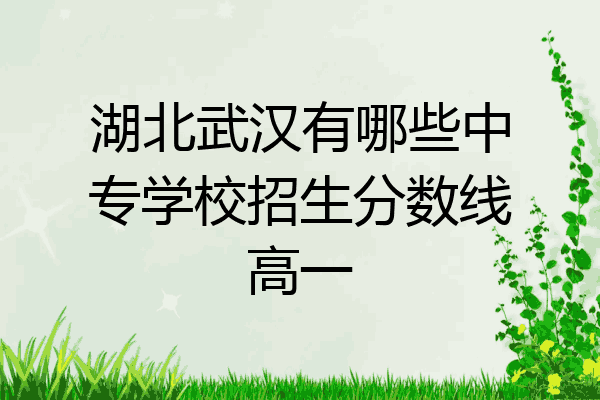 湖北武汉有哪些中专学校招生分数线高一