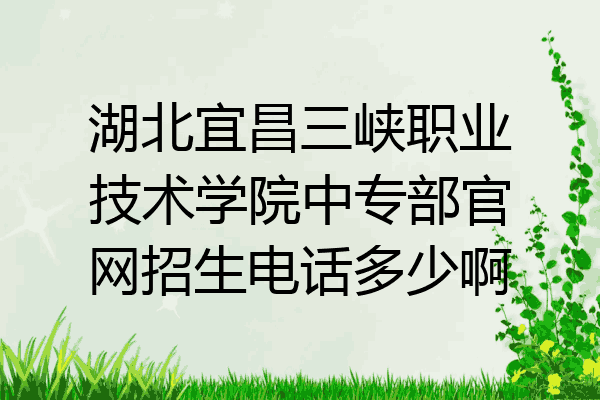 湖北宜昌三峡职业技术学院中专部官网招生电话多少啊