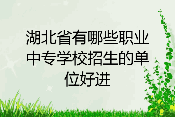 湖北省有哪些职业中专学校招生的单位好进