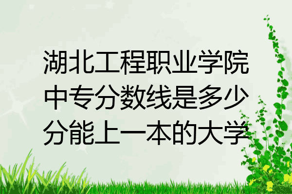湖北工程职业学院中专分数线是多少分能上一本的大学