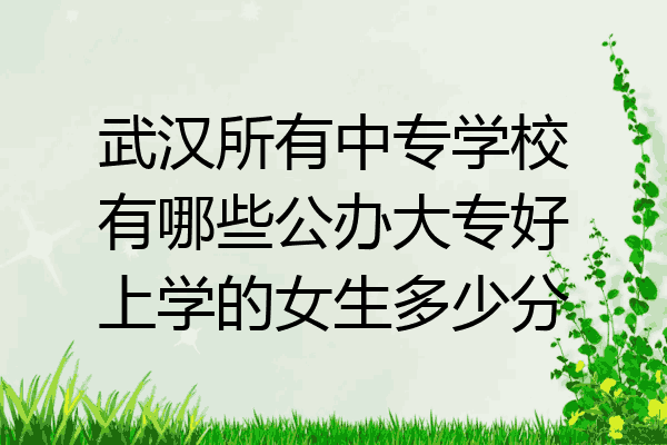武汉所有中专学校有哪些公办大专好上学的女生多少分