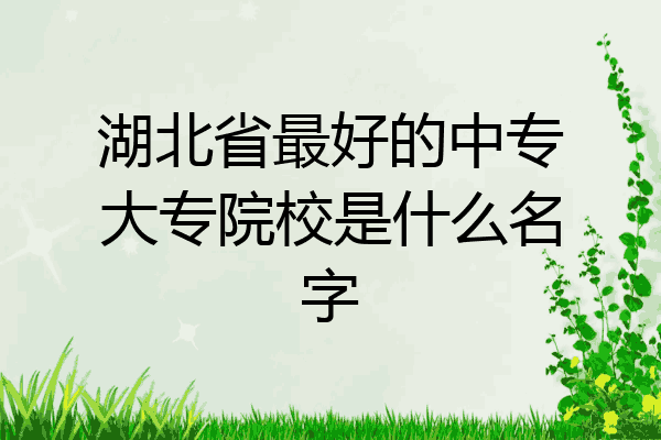 湖北省最好的中专大专院校是什么名字