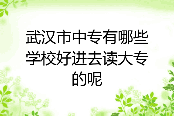 武汉市中专有哪些学校好进去读大专的呢