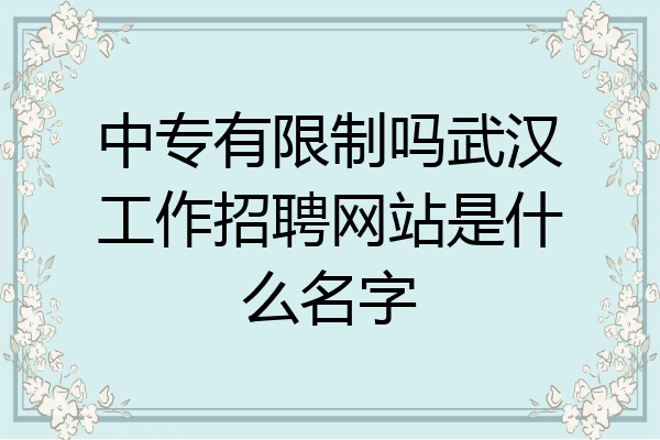 中专有限制吗武汉工作招聘网站是什么名字