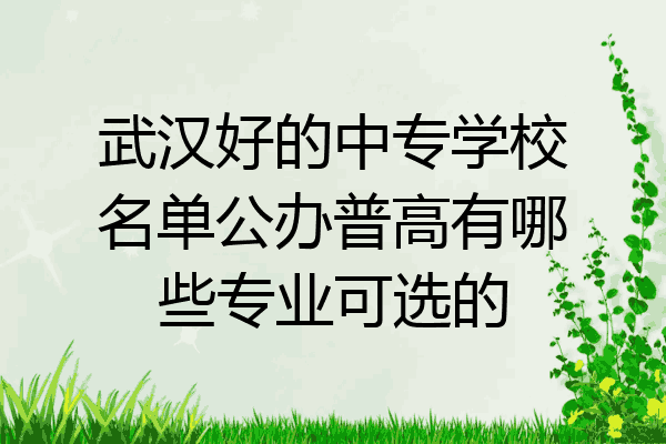 武汉好的中专学校名单公办普高有哪些专业可选的