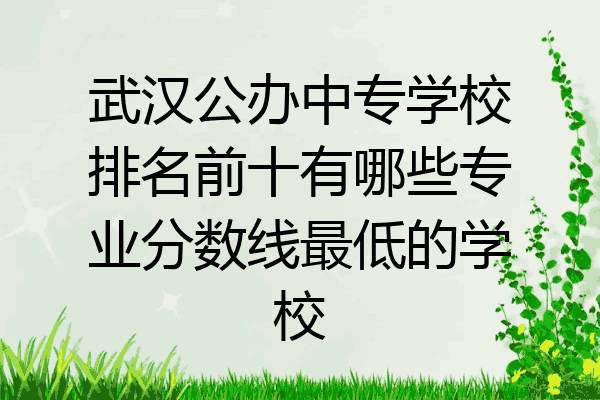武汉公办中专学校排名前十有哪些专业分数线最低的学校