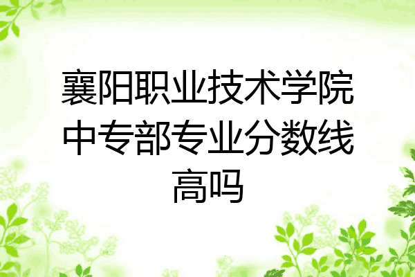 襄阳职业技术学院中专部专业分数线高吗