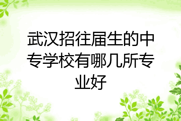 武汉招往届生的中专学校有哪几所专业好