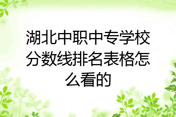湖北中职中专学校分数线排名表格怎么看的