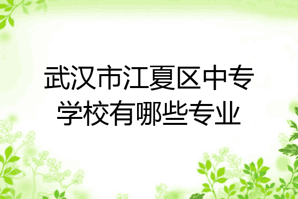 武汉市江夏区中专学校有哪些专业