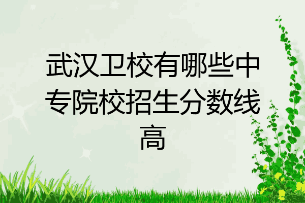 武汉卫校有哪些中专院校招生分数线高