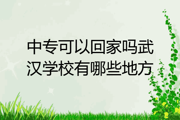 中专可以回家吗武汉学校有哪些地方