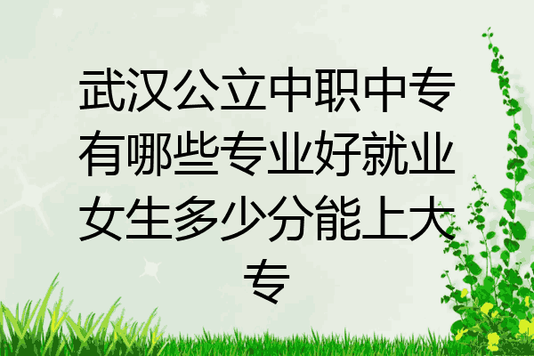 武汉公立中职中专有哪些专业好就业女生多少分能上大专