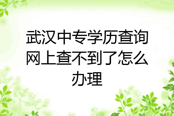 武汉中专学历查询网上查不到了怎么办理