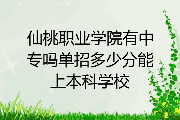 仙桃职业学院有中专吗单招多少分能上本科学校