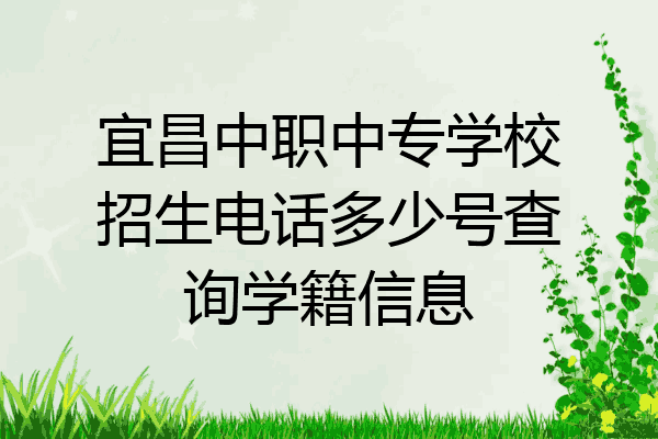 宜昌中职中专学校招生电话多少号查询学籍信息