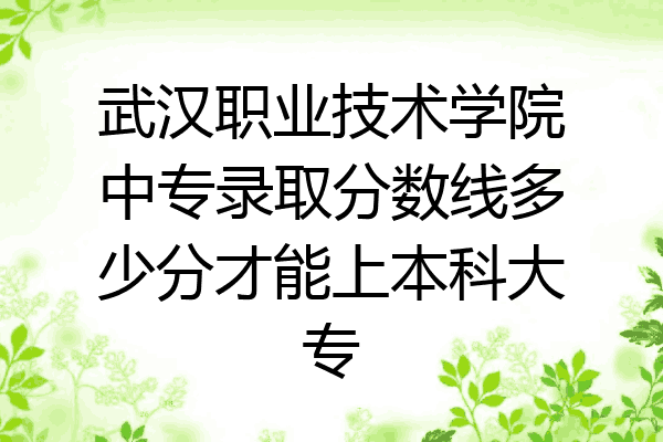 武汉职业技术学院中专录取分数线多少分才能上本科大专