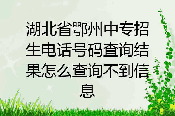 湖北省鄂州中专招生电话号码查询结果怎么查询不到信息