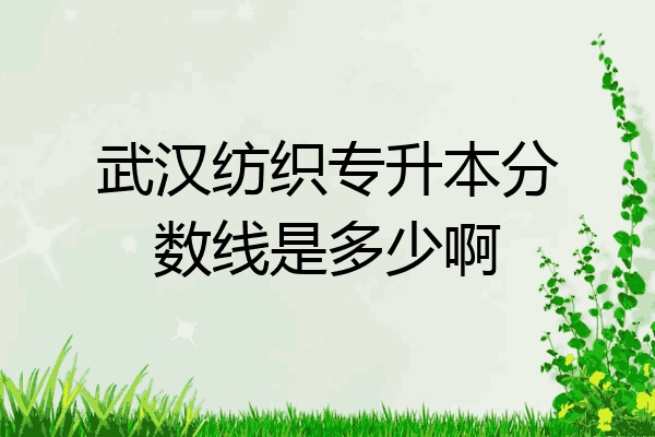 武汉纺织专升本分数线是多少啊